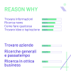 REASON WHY